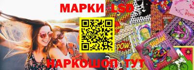 стаф Кинель