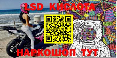 молекула духа Будённовск