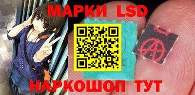 стаф Кинель