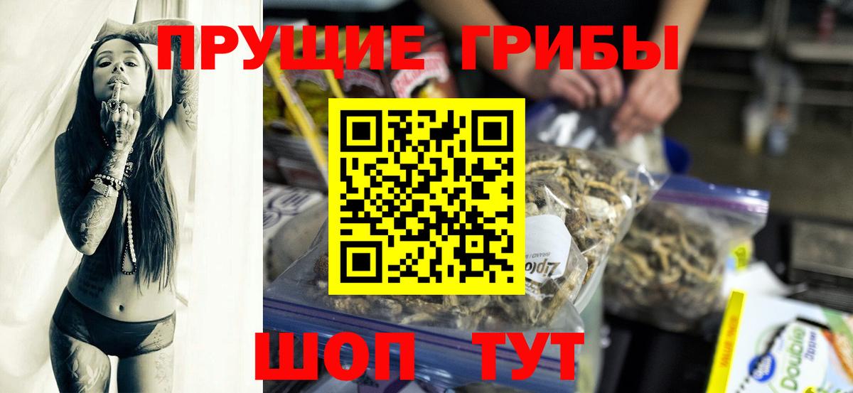 Галлюциногенные грибы MAGIC MUSHROOMS  Вход с VPN  Канск 